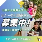 繊細な子のためのフリースクール・ピットリー✨